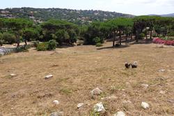 Photos Terrain constructible à vendre Sainte-Maxime 83120