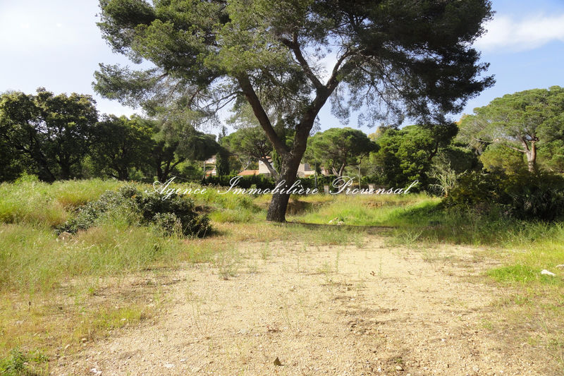 Vente terrain Sainte-Maxime Vente terrain Sainte-Maxime Land Sainte-Maxime Proche plages, to buy land 2650 m²