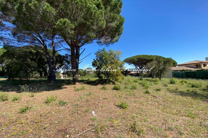 Photo n°4 - Vente terrain Sainte-Maxime 83120 - 630 000 €