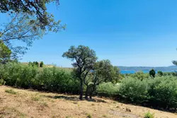 Vente terrain Grimaud  