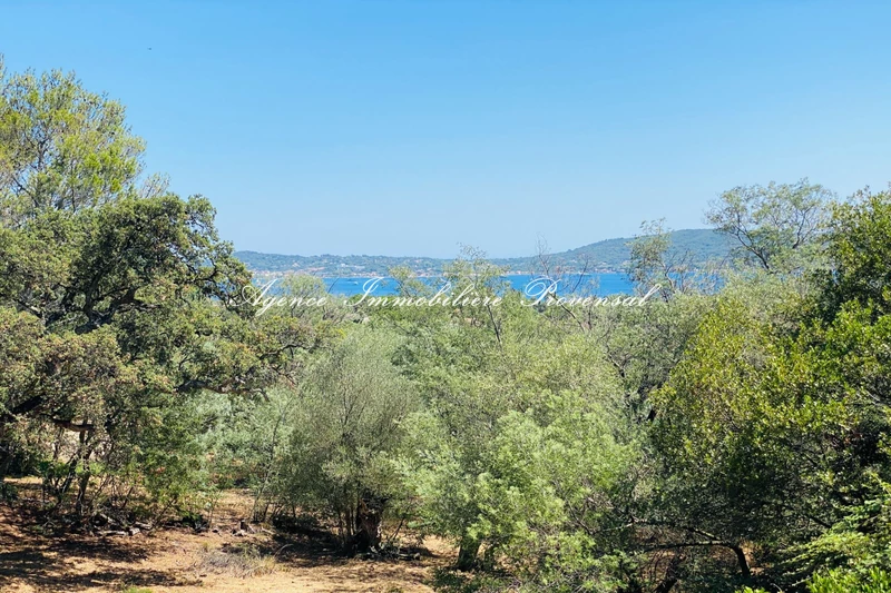 Vente terrain Grimaud  