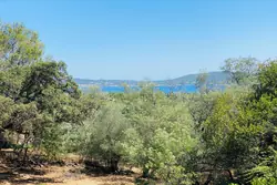 Vente terrain Grimaud  