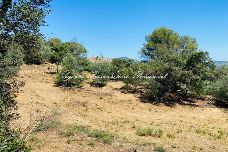 Vente terrain Grimaud  