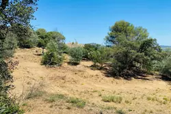 Vente terrain Grimaud  