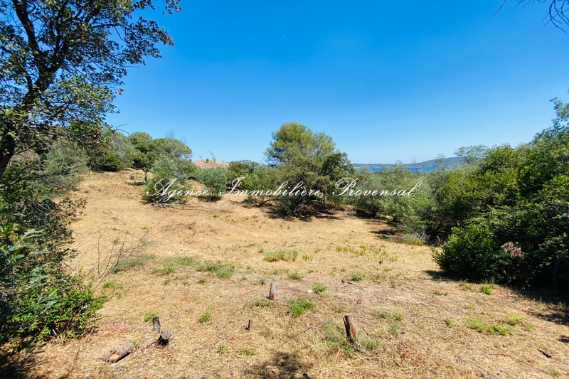 Vente terrain Grimaud  