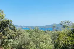 Photos  Terrain à vendre Grimaud 83310