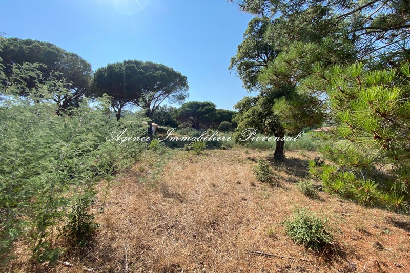 Photo n°3 - Vente terrain Sainte-Maxime 83120 - 598 500 €