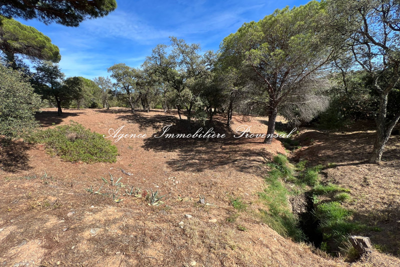 Photo n°6 - Vente terrain constructible Sainte-Maxime 83120 - 650 000 €