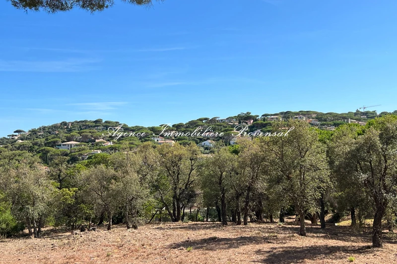 Vente terrain constructible Sainte-Maxime Vente terrain constructible Sainte-Maxime Terrain constructible Sainte-Maxime Proche centre ville, achat terrain constructible 1610 m²