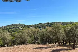 Vente terrain constructible Sainte-Maxime  