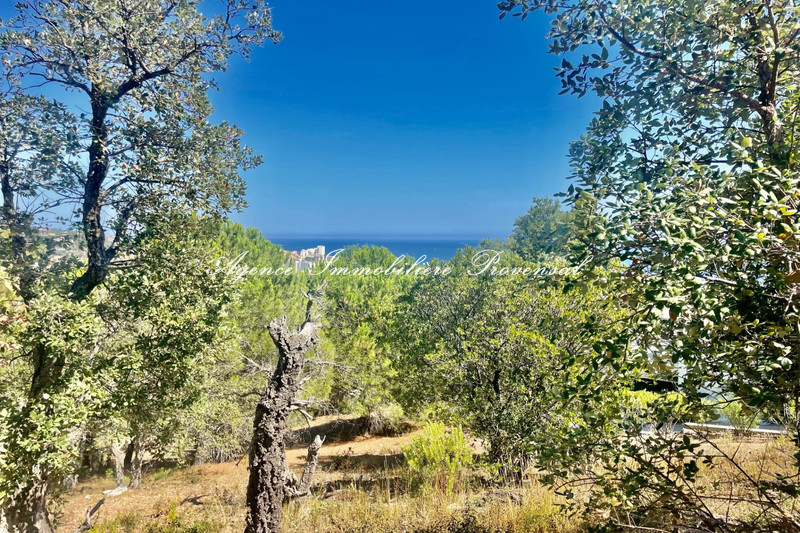 Photo n°9 - Vente terrain Sainte-Maxime 83120 - 1 995 000 €