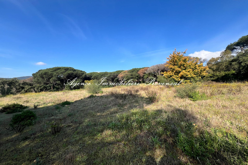 Vente terrain Sainte-Maxime  Terrain Sainte-Maxime Proche centre ville,   achat terrain   1334&nbsp;m&sup2;
