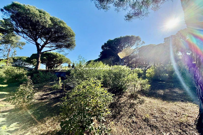 Vente terrain Sainte-Maxime Vente terrain Sainte-Maxime