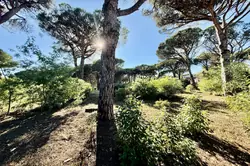 Vente terrain Sainte-Maxime  