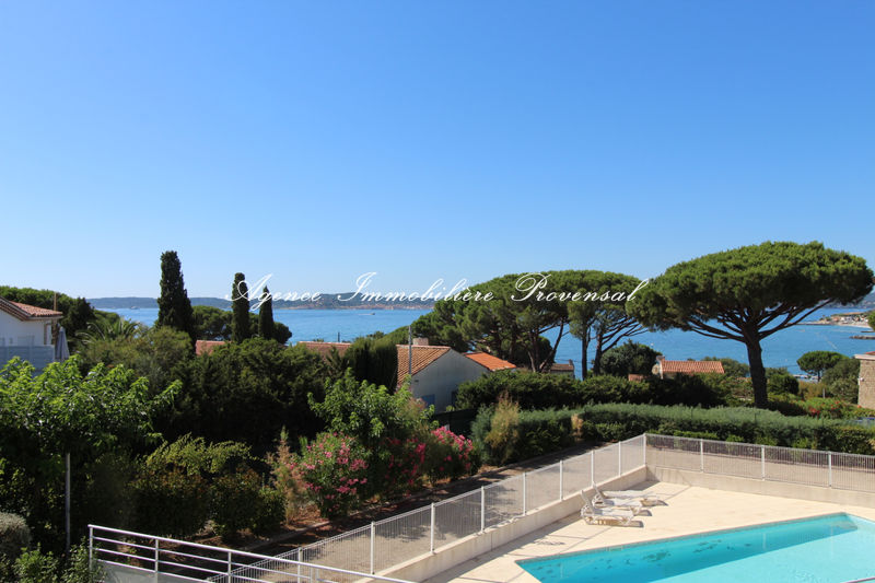 Vente Appartement Terrasse Agence Provensal