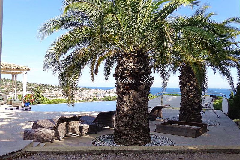 Photo n°6 - Vente Maison villa piscine et vue mer Sainte-Maxime 83120 - 2 990 000 €