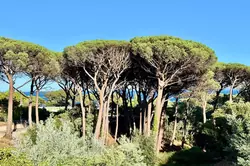 Vente appartement Sainte-Maxime  