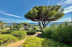 Vente appartement Sainte-Maxime  
