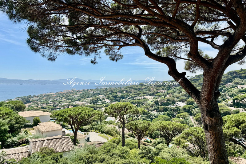 Photo n°5 - Vente Maison villa Sainte-Maxime 83120 - 2 625 000 €