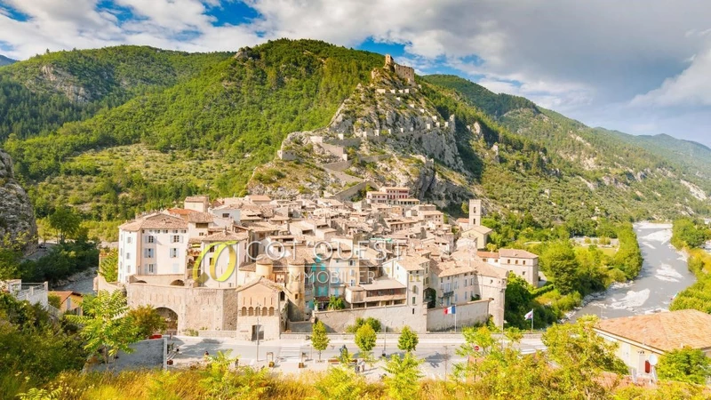 Vente immeuble Entrevaux  