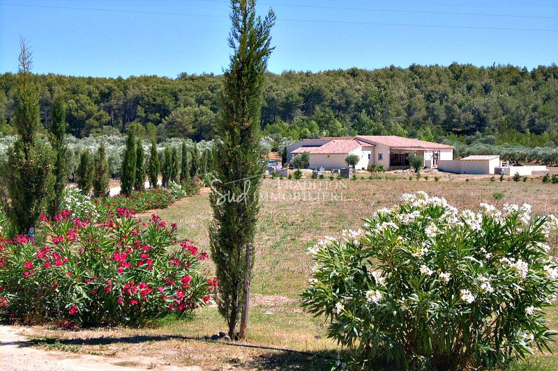 Photo Propriété Fontvieille achat propriété 4 chambres