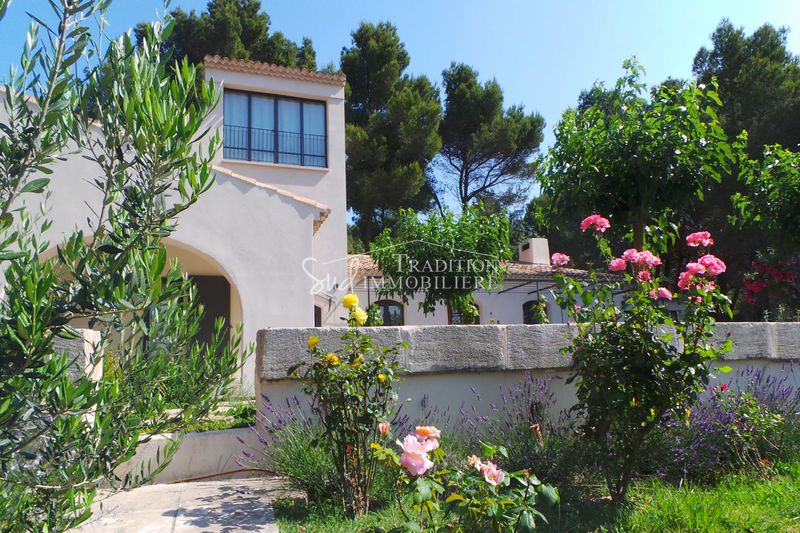 Photo Maison Paradou Campagne, achat maison 6 chambres 400 m²