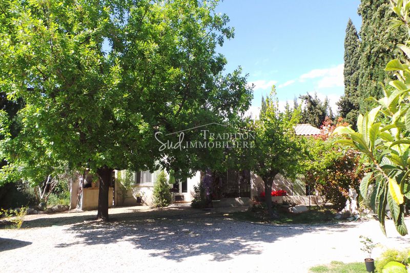 Photo Maison Saint-Andiol En campagne, achat maison 4 chambres 155 m²