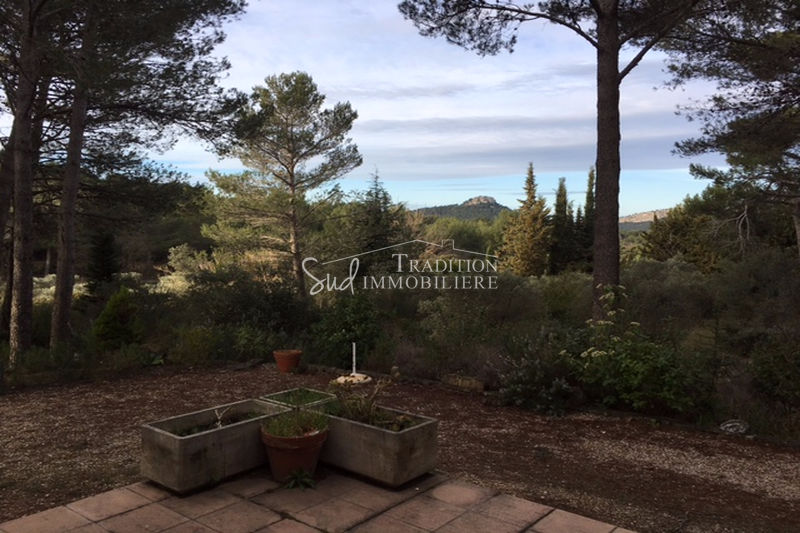 Photo Maison Les Baux-de-Provence En campagne, achat maison