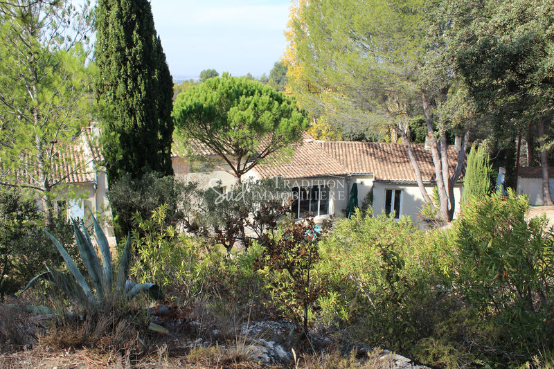 Photo Villa Fontvieille Proche centre, achat villa 4 chambres 250 m²