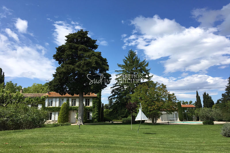 Photo Maison Saint-Rémy-de-Provence A 10mn - en campagne, achat maison 4 chambres 400 m²