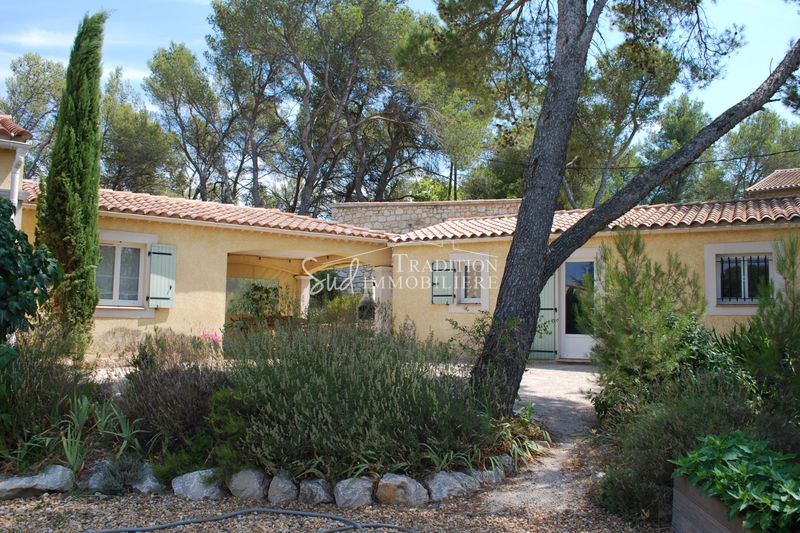 Photo Maison Saint-Rémy-de-Provence Saint-rémy-de-provence a 10mn, achat maison 4 chambres 170 m²