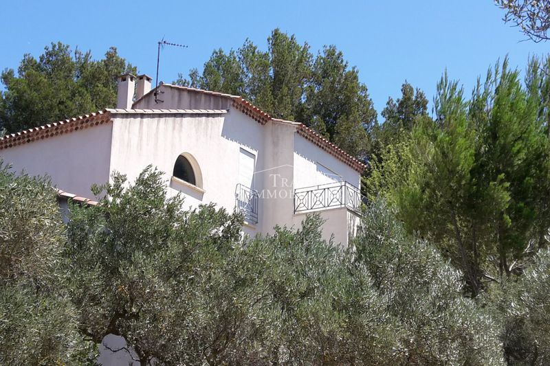 Photo Maison Mouriès Vue alpilles, achat maison 4 chambres 173 m²