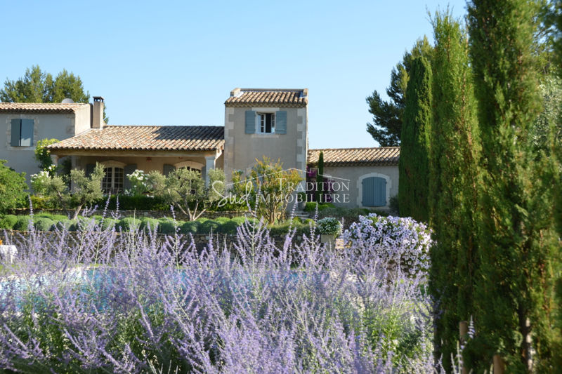 Photo Demeure de prestige Aureille Vue alpilles, achat demeure de prestige 7 chambres 350 m²