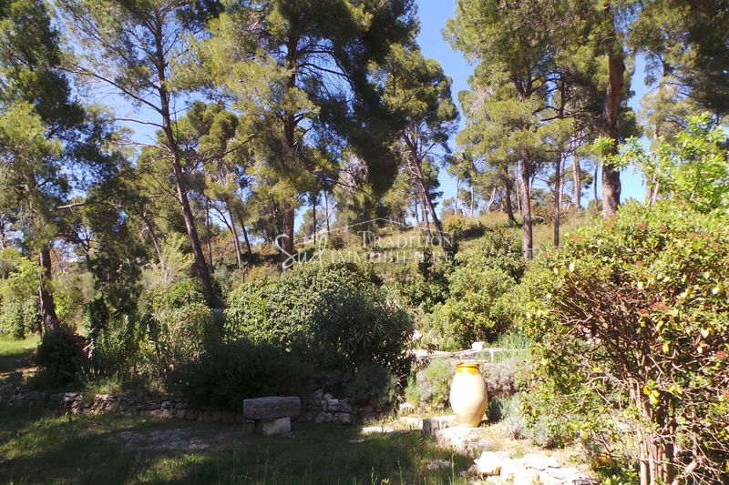 Photo Maison Maussane-les-Alpilles Proche centre, achat maison 4 chambres 240 m²