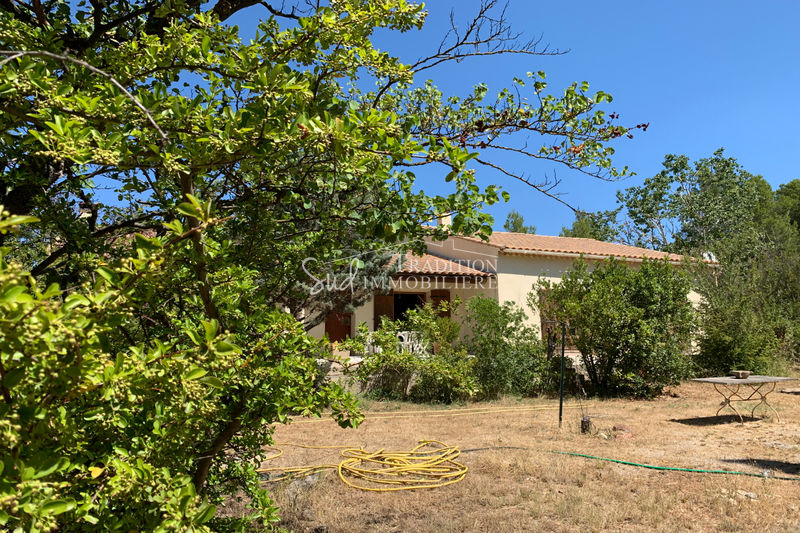 Photo Maison Maussane-les-Alpilles Proche centre, achat maison 4 chambres 180 m²