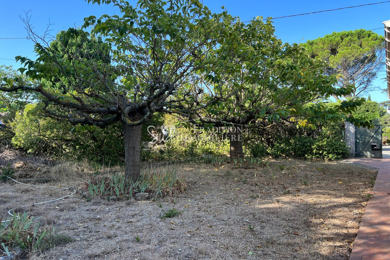 Vente maison Fontvieille  
