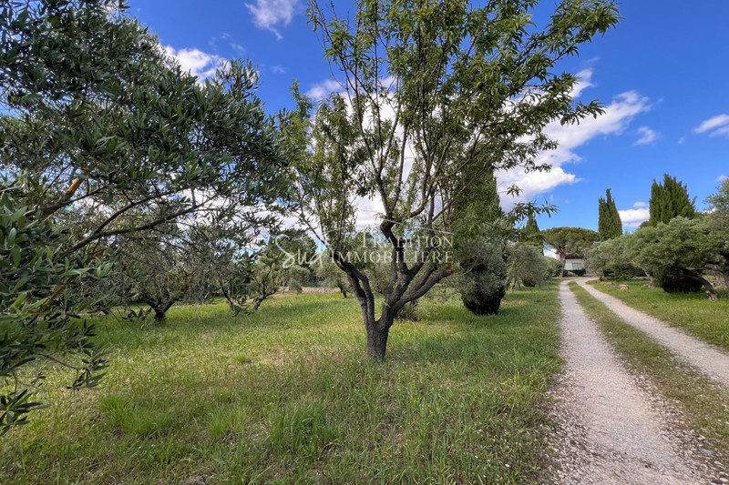 Vente maison Fontvieille  