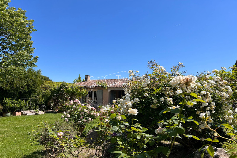 Vente villa provençale Saint-Rémy-de-Provence  