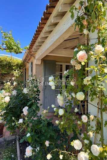 Vente villa provençale Saint-Rémy-de-Provence  