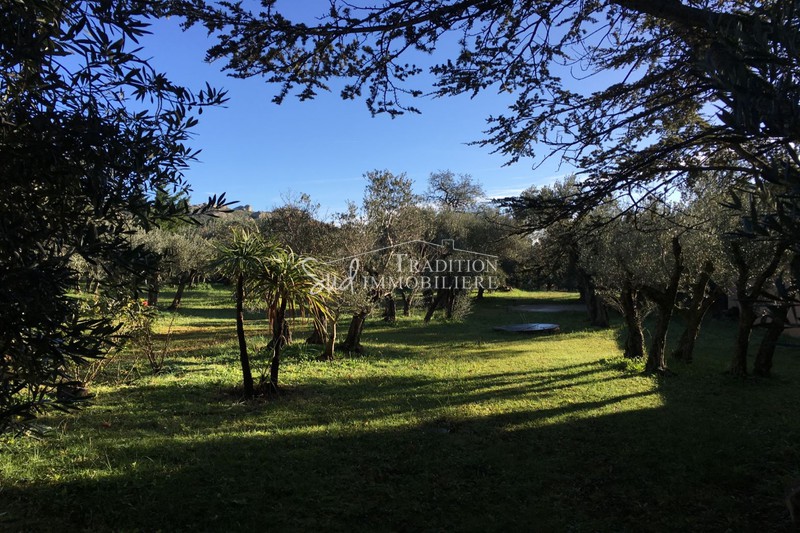 Photo Terrain Maussane-les-Alpilles Proche centre, achat terrain 1470 m²