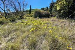 Photos  Terrain à vendre Draguignan 83300