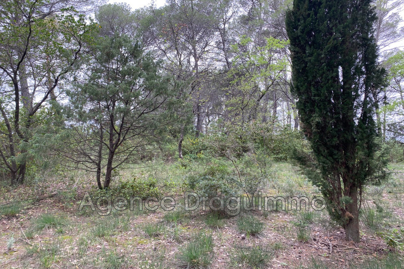 Photo n°1 - Vente terrain non constructible Flayosc 83780 - 12 000 €