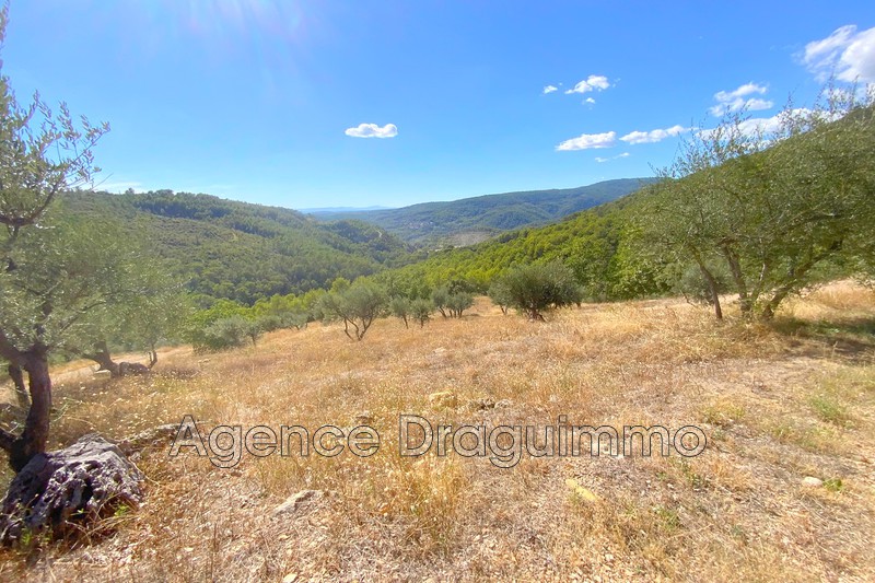 Photo n°4 - Vente Maison bastide Figanières 83830 - 579 000 €