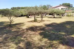 Photos  Maison à vendre Draguignan 83300