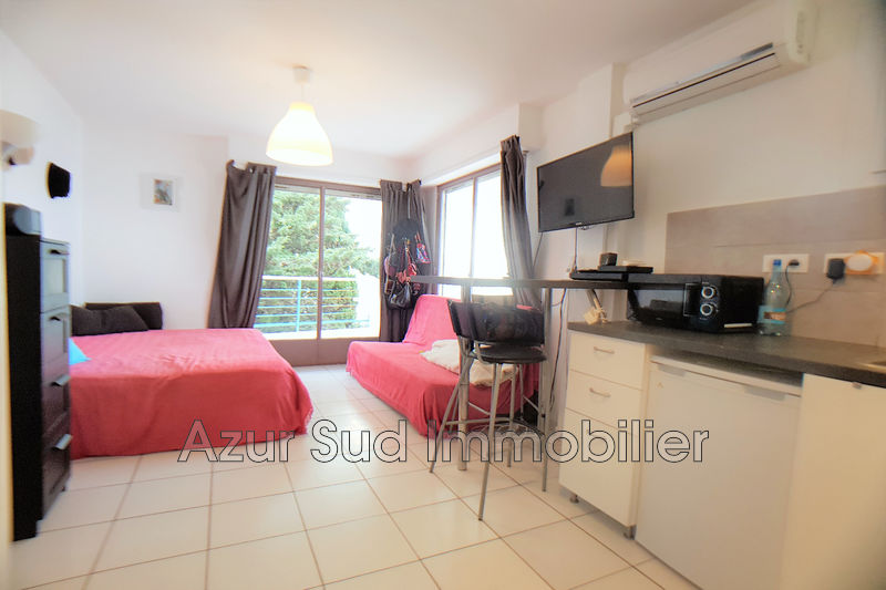 vente Appartement Juan-les-pins Proche plages Appartement Juan-les-Pins Proche plages, achat appartement 1 pièce 20 m²