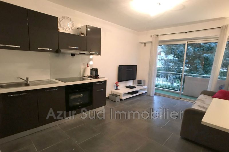 Photo Appartement Antibes Bréguières, achat appartement 1 pièce 21 m²