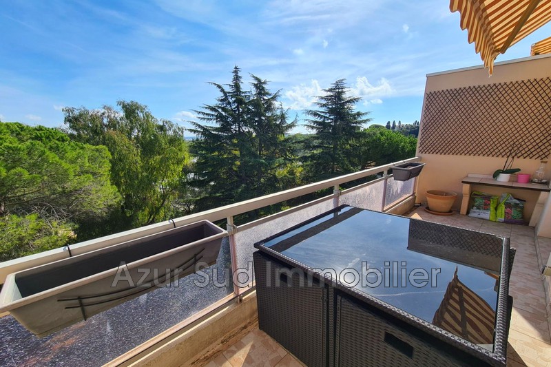 Photo Appartement Antibes Combes,   achat appartement  1 pièce   29&nbsp;m&sup2;