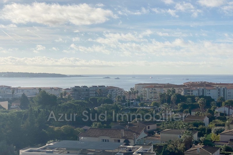 Apartment Juan-les-Pins Eucalyptus,   to buy apartment  1 room   41&nbsp;m&sup2;