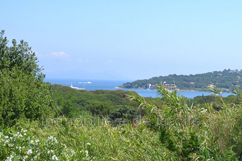 Photo Demeure de prestige Saint-Tropez Proche village, achat demeure de prestige 7 chambres 300 m²