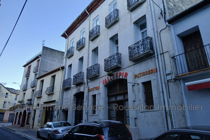 Professionnel murs local professionnel Arles-sur-Tech  